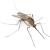 Edgewater Mosquitoes & Ticks by On The Go Services, LLC