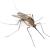 Fairfax Mosquitoes & Ticks by On The Go Services, LLC