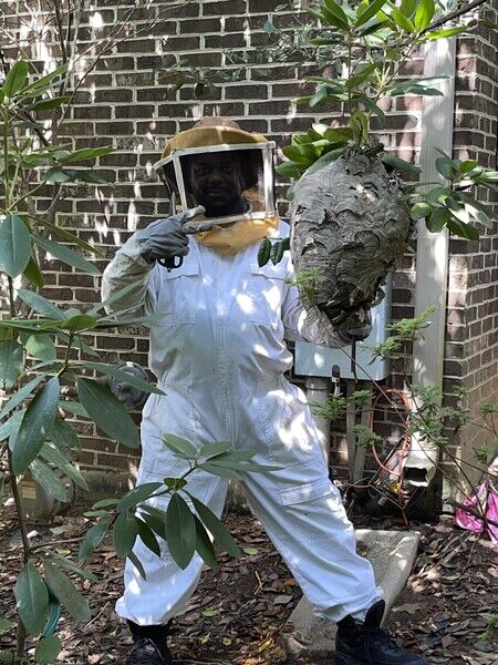 Bee Control in Silver Spring, MD (3)