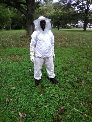 Bee Control in Bladensburg, MD (1)