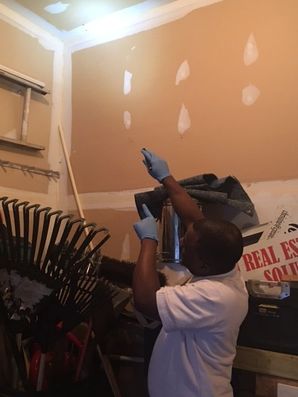 Pest Inspections and Removals in Bladenburg, MD (4)